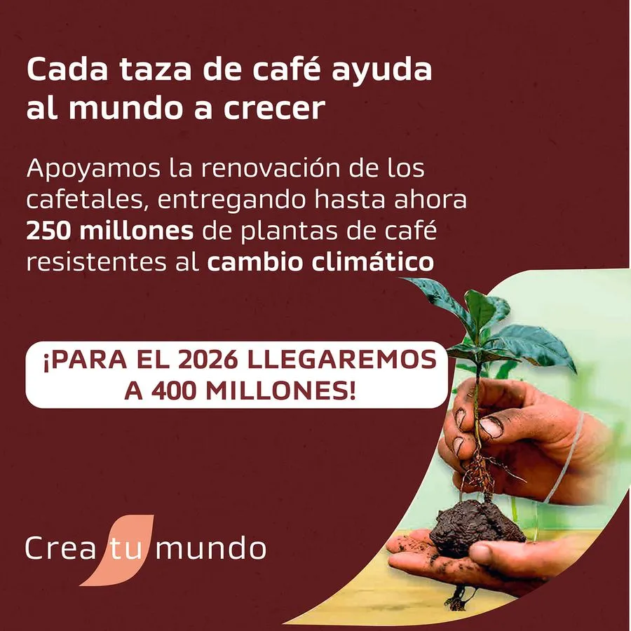 Café Nescafé Tradición 170g